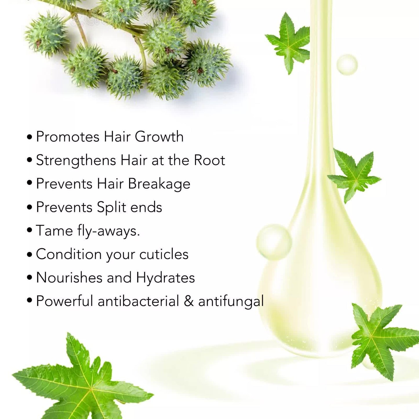 Black Castor Oil – Hair, Lashes, Brows & Skin (60ml)