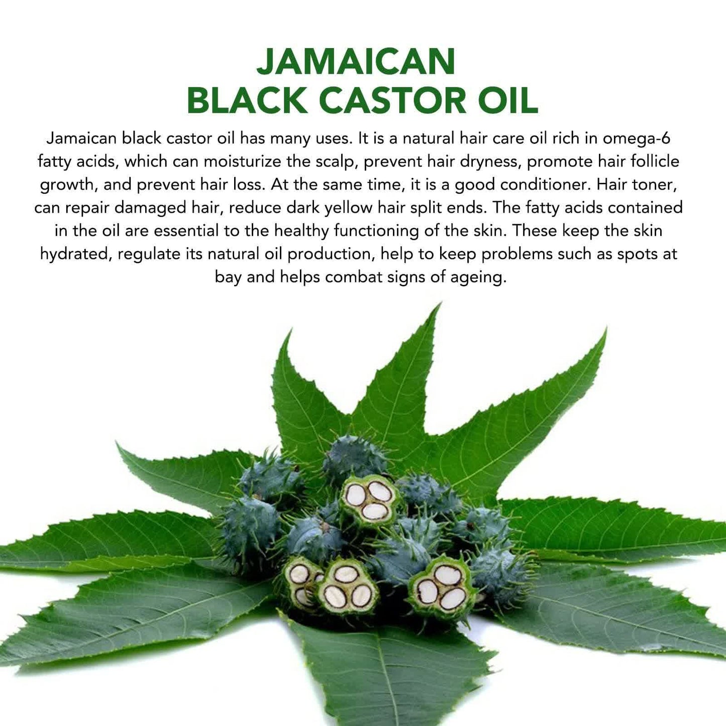 Black Castor Oil – Hair, Lashes, Brows & Skin (60ml)